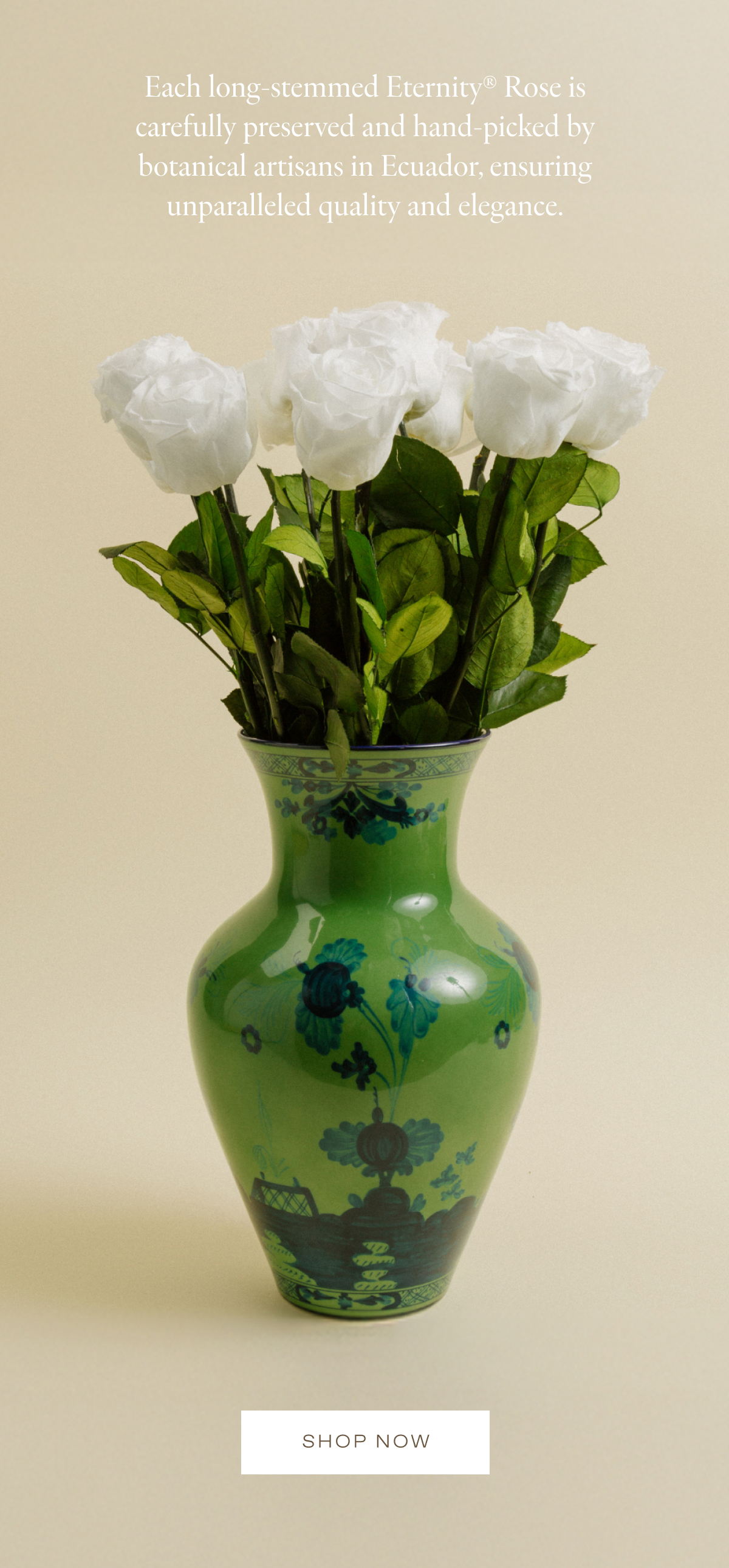 Each long-stemmed Eternity® Rose is carefully preserved and hand-picked by botanical artisans in Ecuador, ensuring unparalleled quality and elegance.