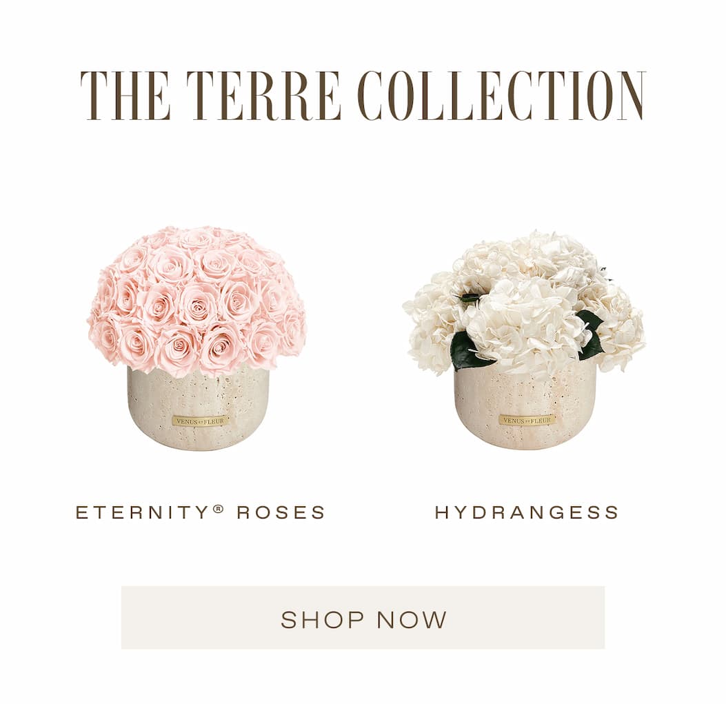The Terre Collection