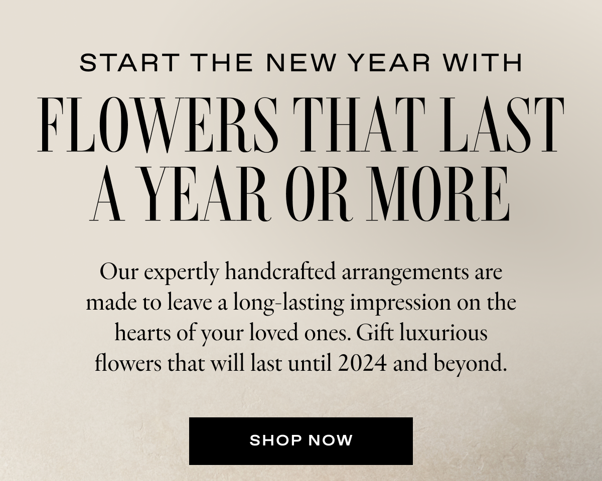 A stunning arrangement that will last until 2024. VENUS ET FLEUR