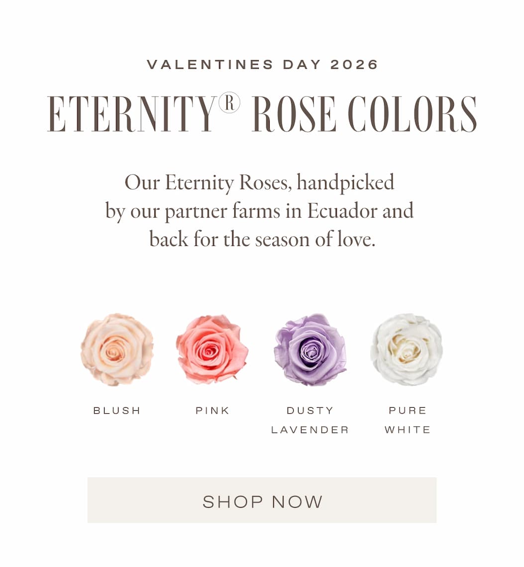 SEASONAL PRINT - PARISIAN BOISERIE