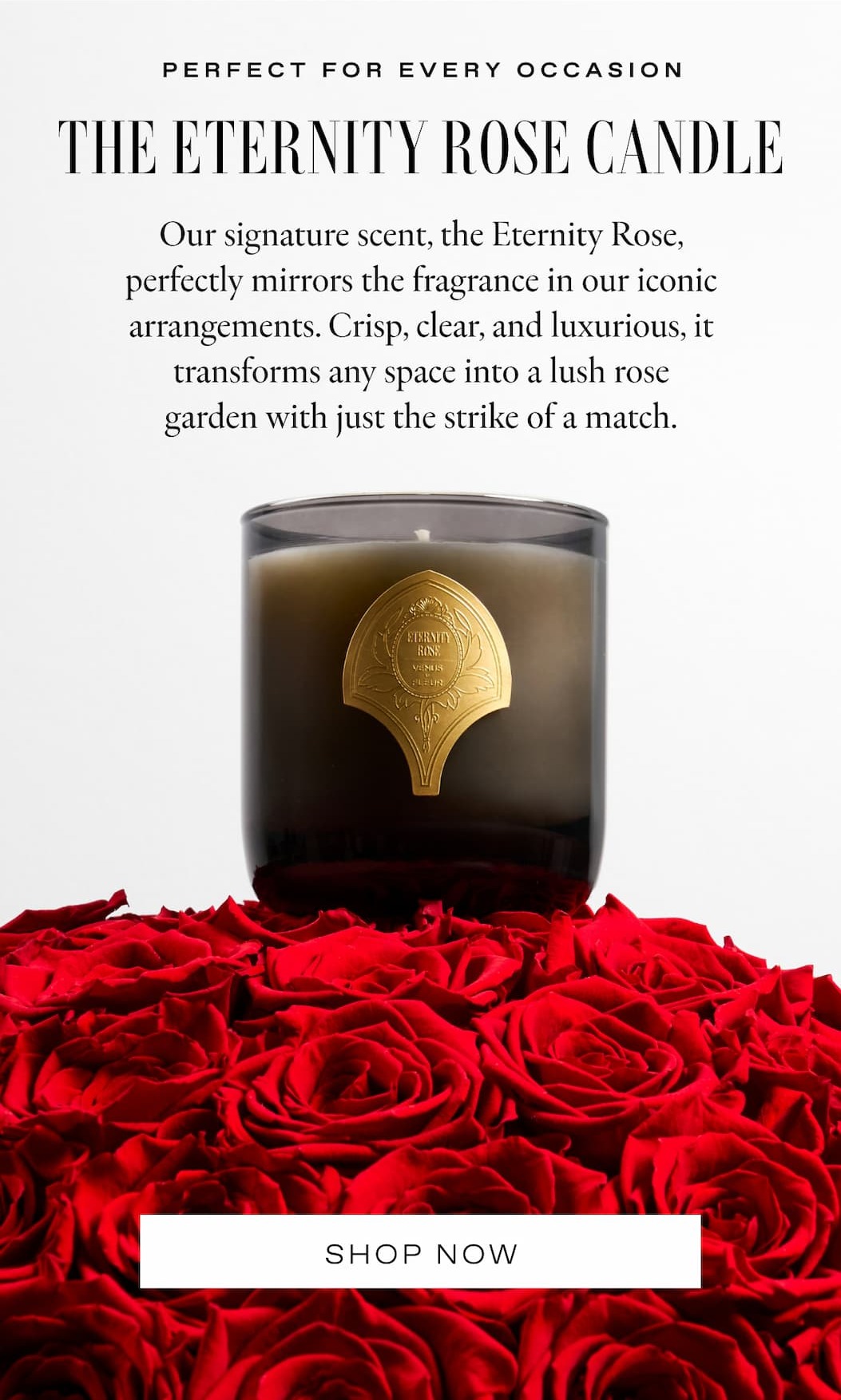 THE ETERNITY ROSE CANDLE