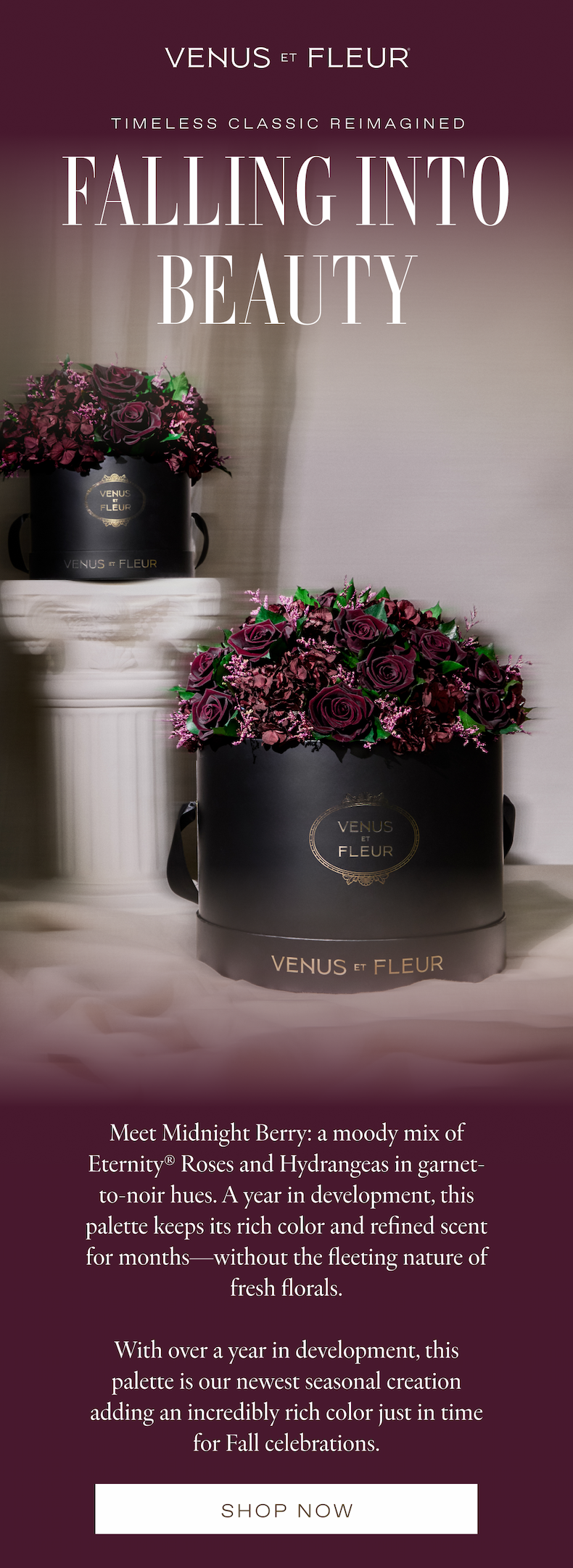 FALL 2025 COLLECTION: Our Newest Arrangements