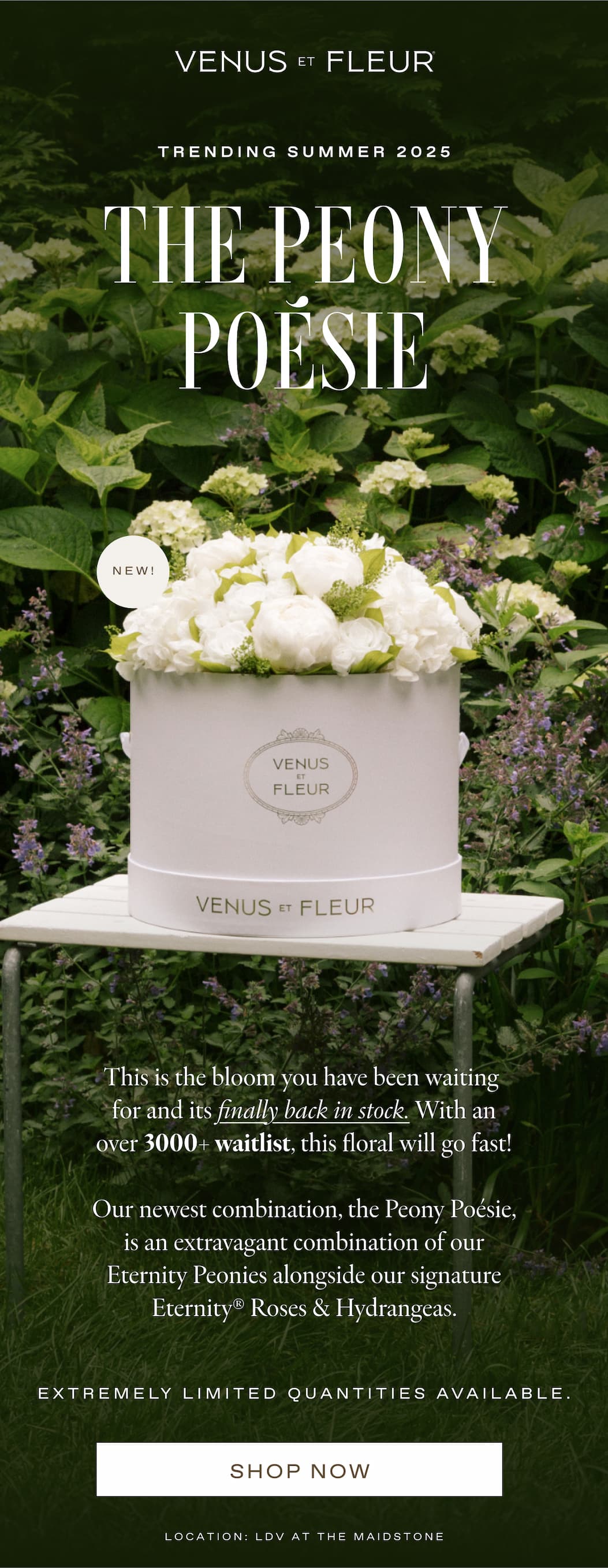 TRENDING SUMMER 2025 - The Peony Poésie
