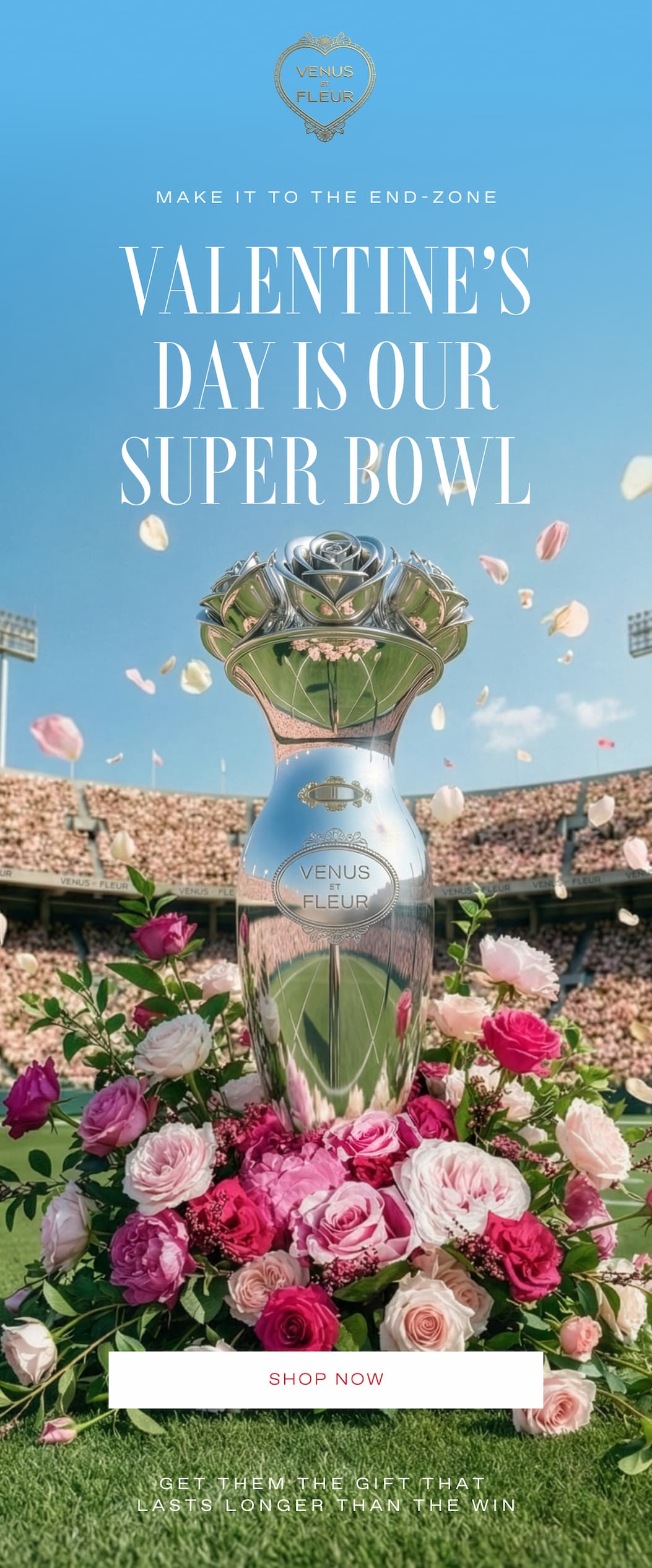 VALENTINES DAY IS OUR SUPER BOWL