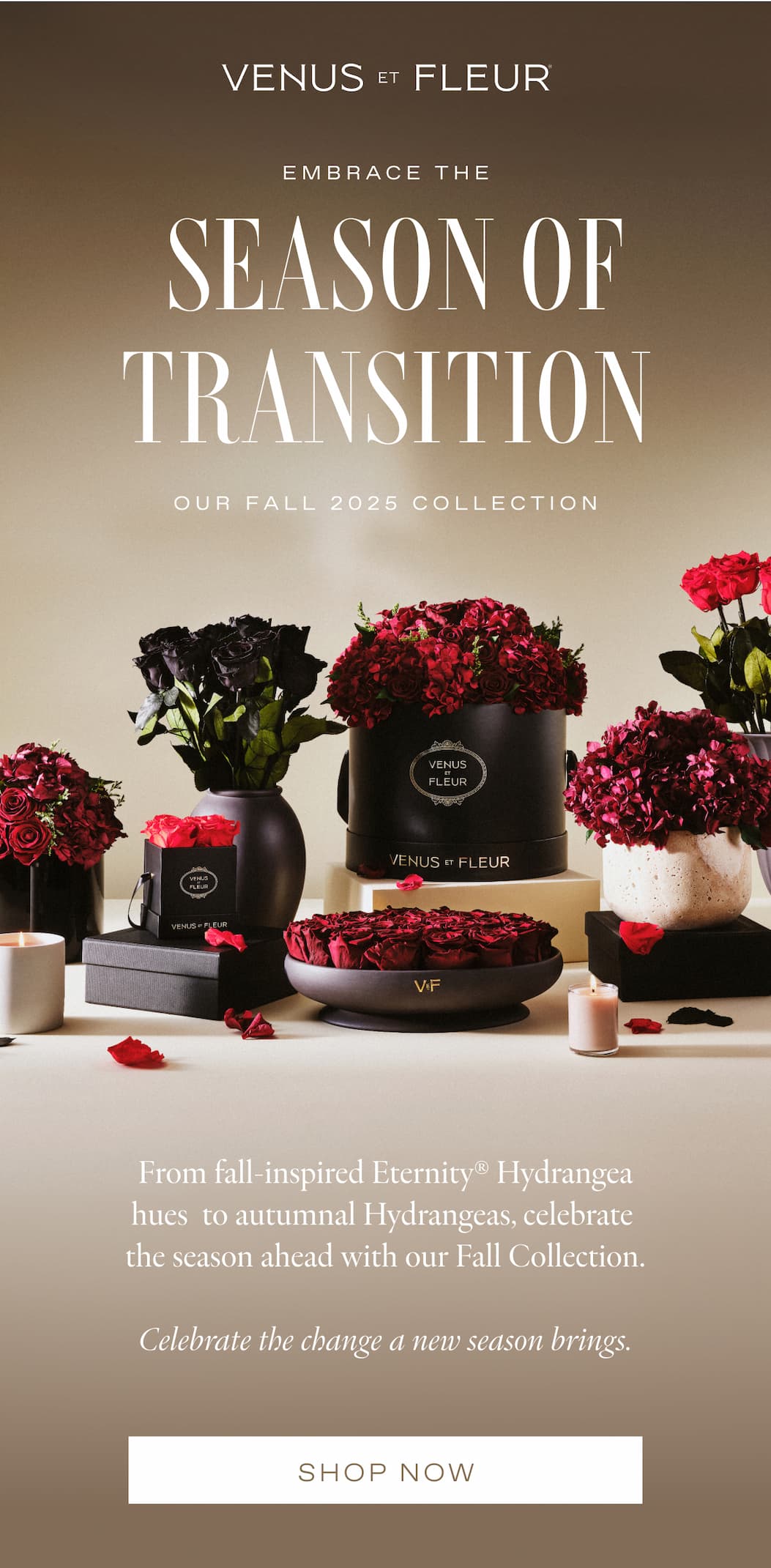 Embrace The Season of Transition - Our Fall 2024 Collection