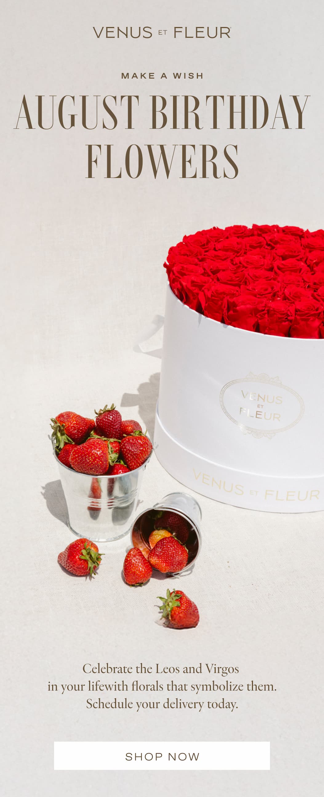 AUGUST BIRTHDAY BLOOMS