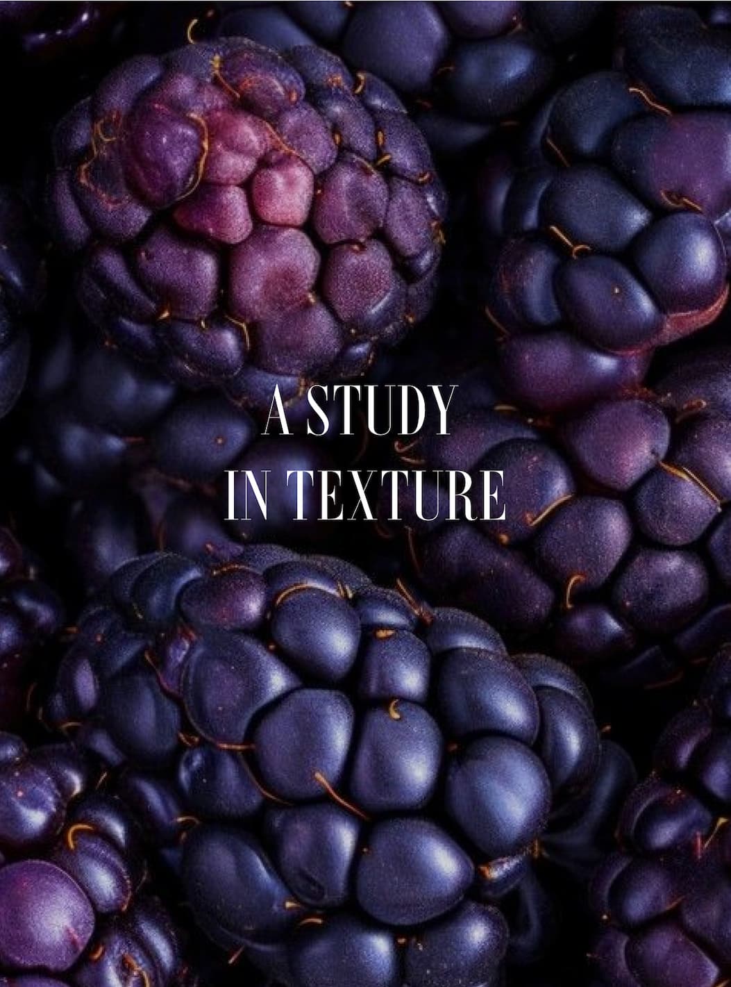 A vertical collage on a plum backdrop presenting the Fall palette and textures: a dew-kissed near-black rose, clusters of blackberries, wine-toned leaves, a white x-ray flower, multiple antiquity-inspired vessels (porcelain, clay, travertine; including a grid of ancient pots and a tall Egyptian amphora), a classical 'Flora' fresco and figure sketch, and a paint roller laying down an oxblood swatch—signaling a moody, museum-worthy direction for the Fall collection.