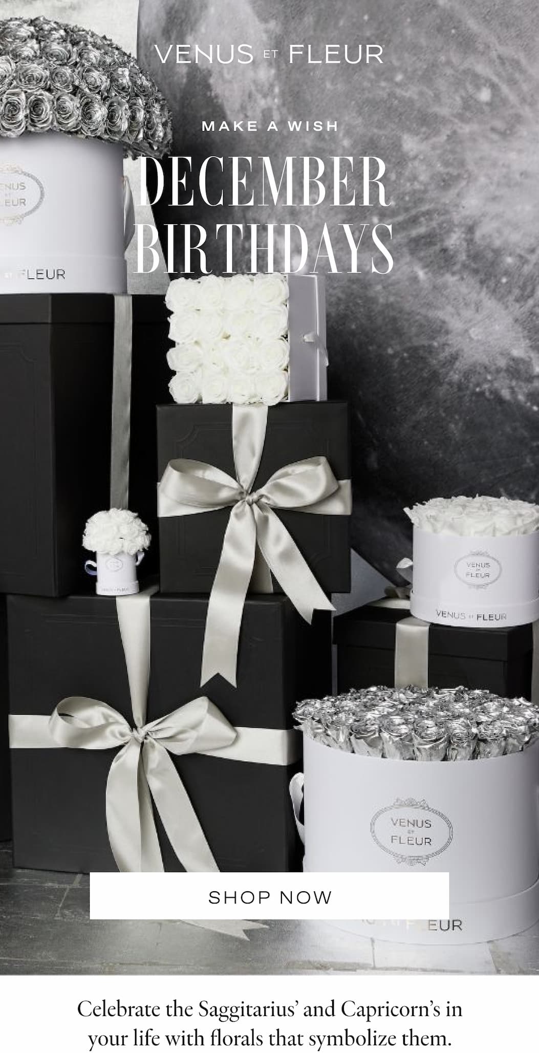 DECEMBER BIRTHDAY BLOOMS