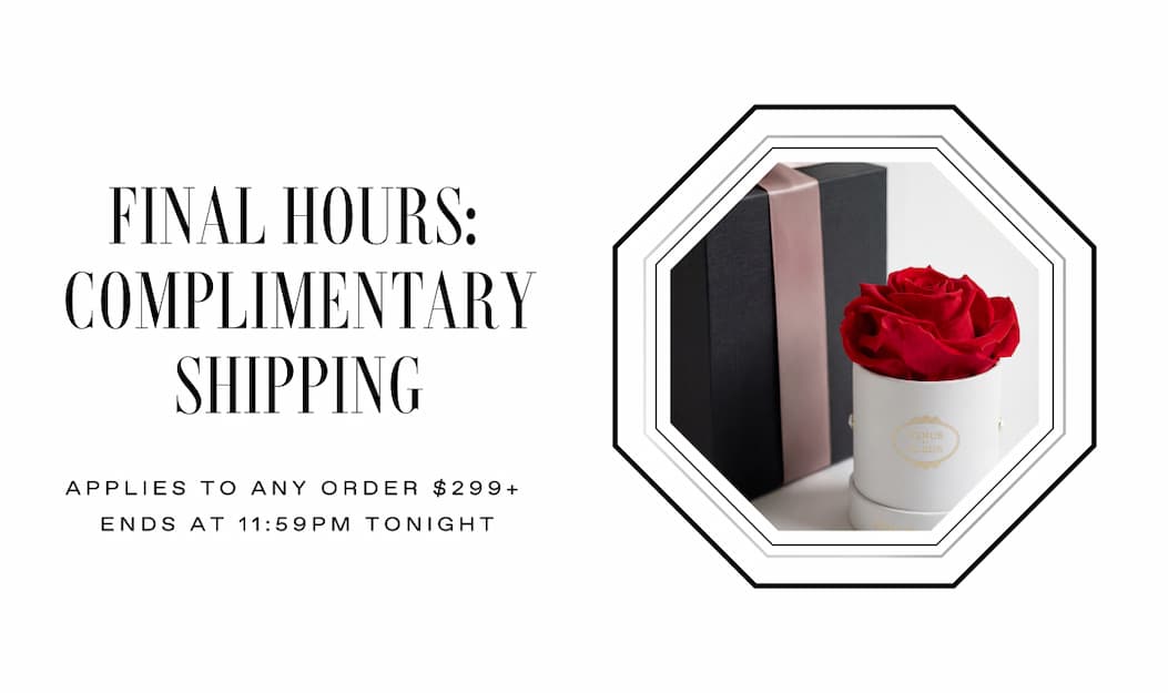 FINAL DAY COMP SHIPPING