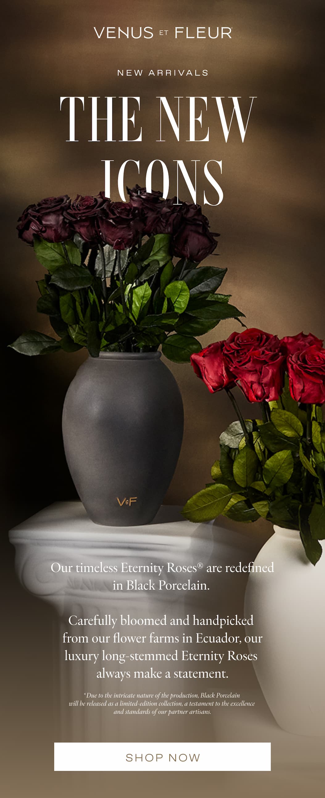 New Arrivals: The New Icons