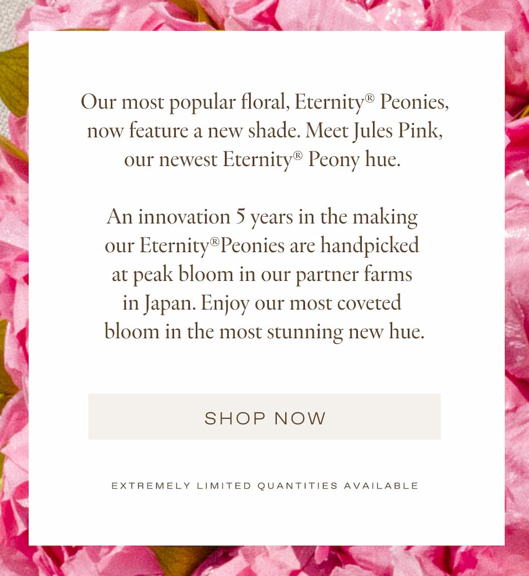 Our most popular floral, Eternity® Peonies, now feature a new shade. Meet Jules Pink, our newest Eternity® Peony hue.   An innovation 5 years in the making  our Eternity®Peonies are handpicked  at peak bloom in our partner farms  in Japan. Enjoy our most coveted  bloom in the most stunning new hue.