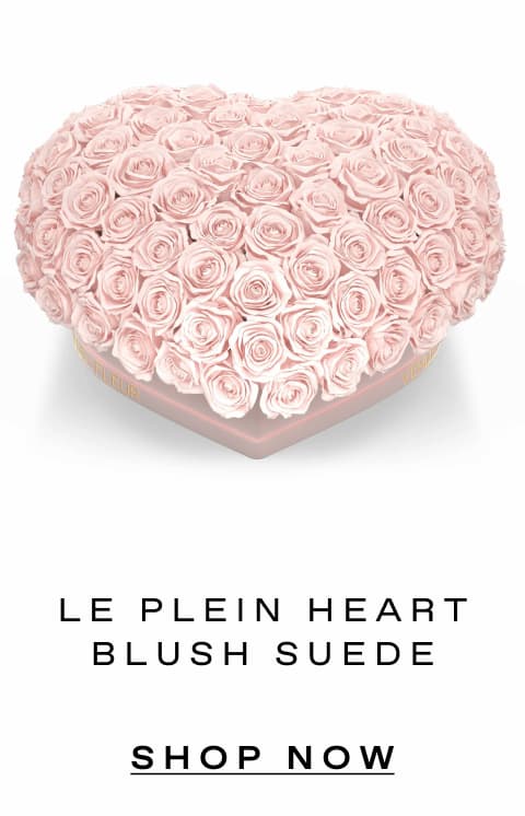 LE PLEIN HEART BLUSH SUEDE