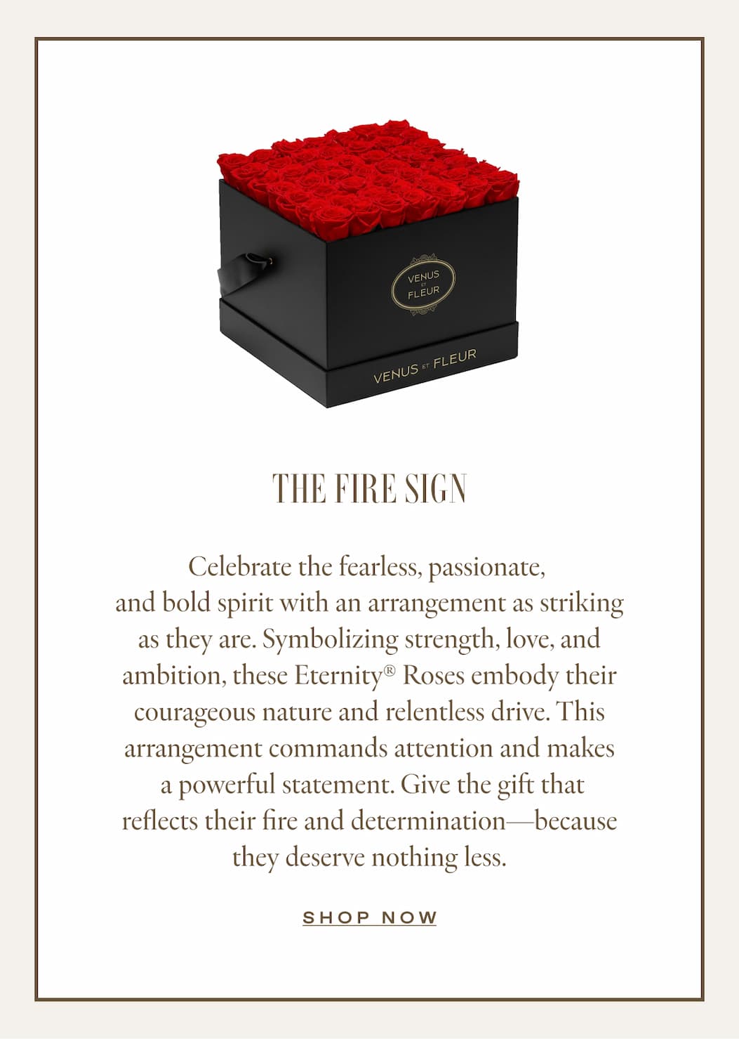 THE FIRE SIGN