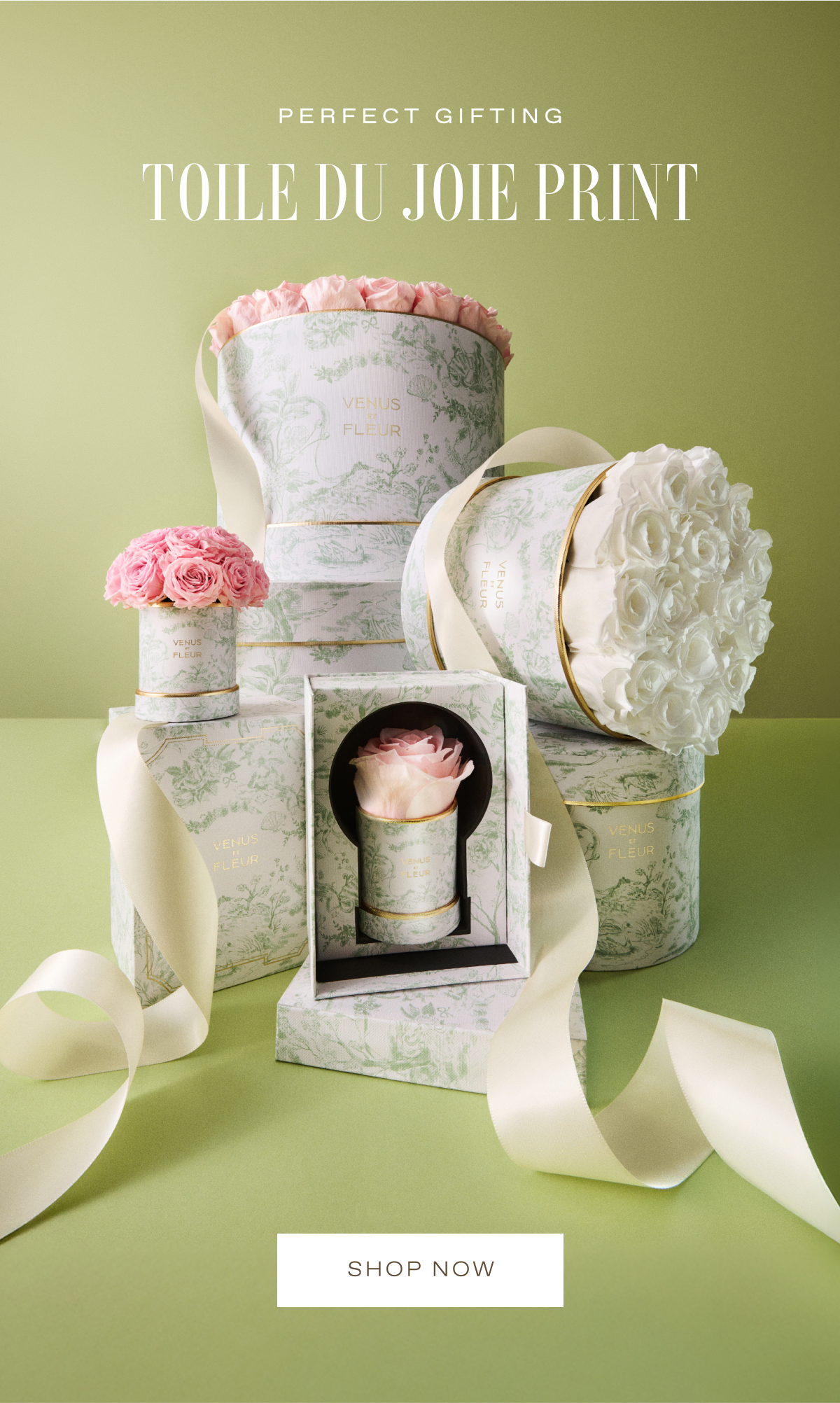 PERFECT GIFTING: Toile du Joie Print