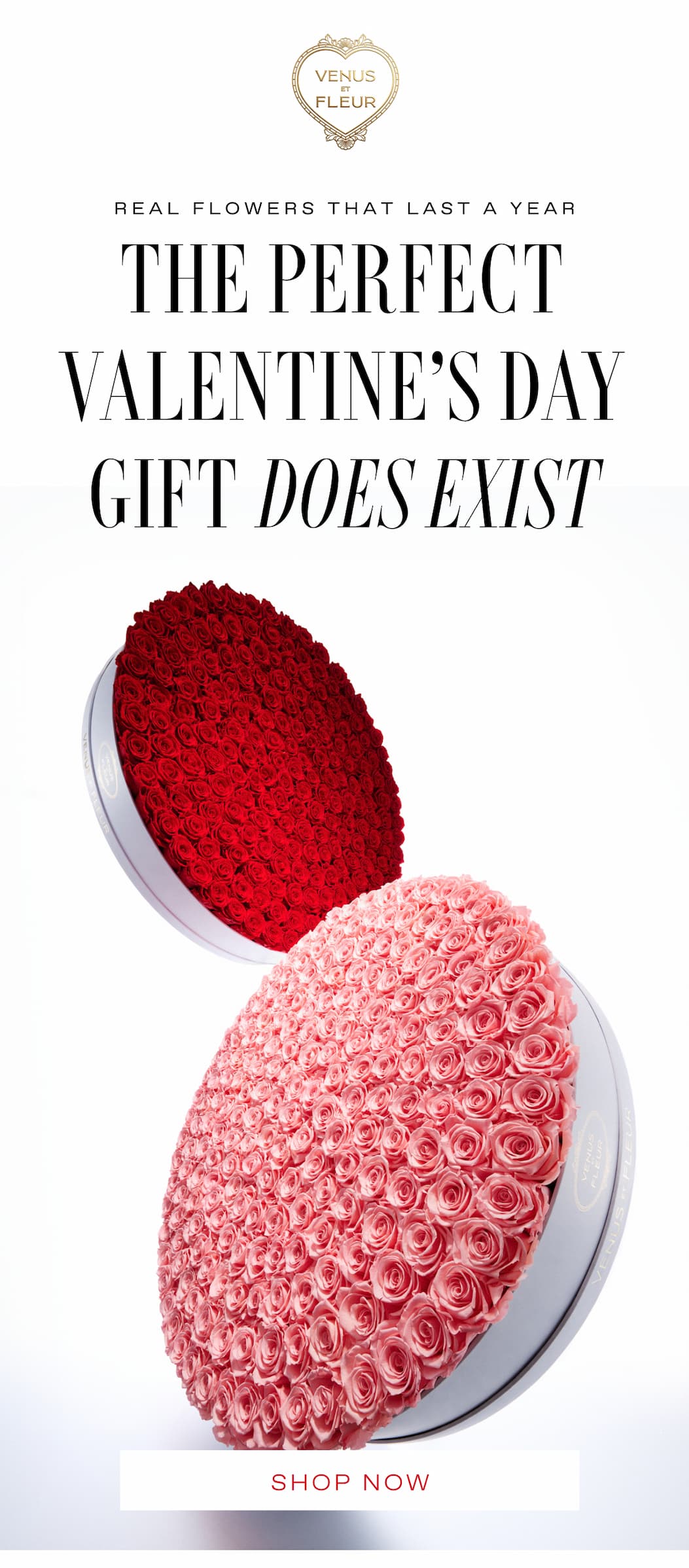 THE PERFECT VALENTINES DAY GIFT DOES EXIST