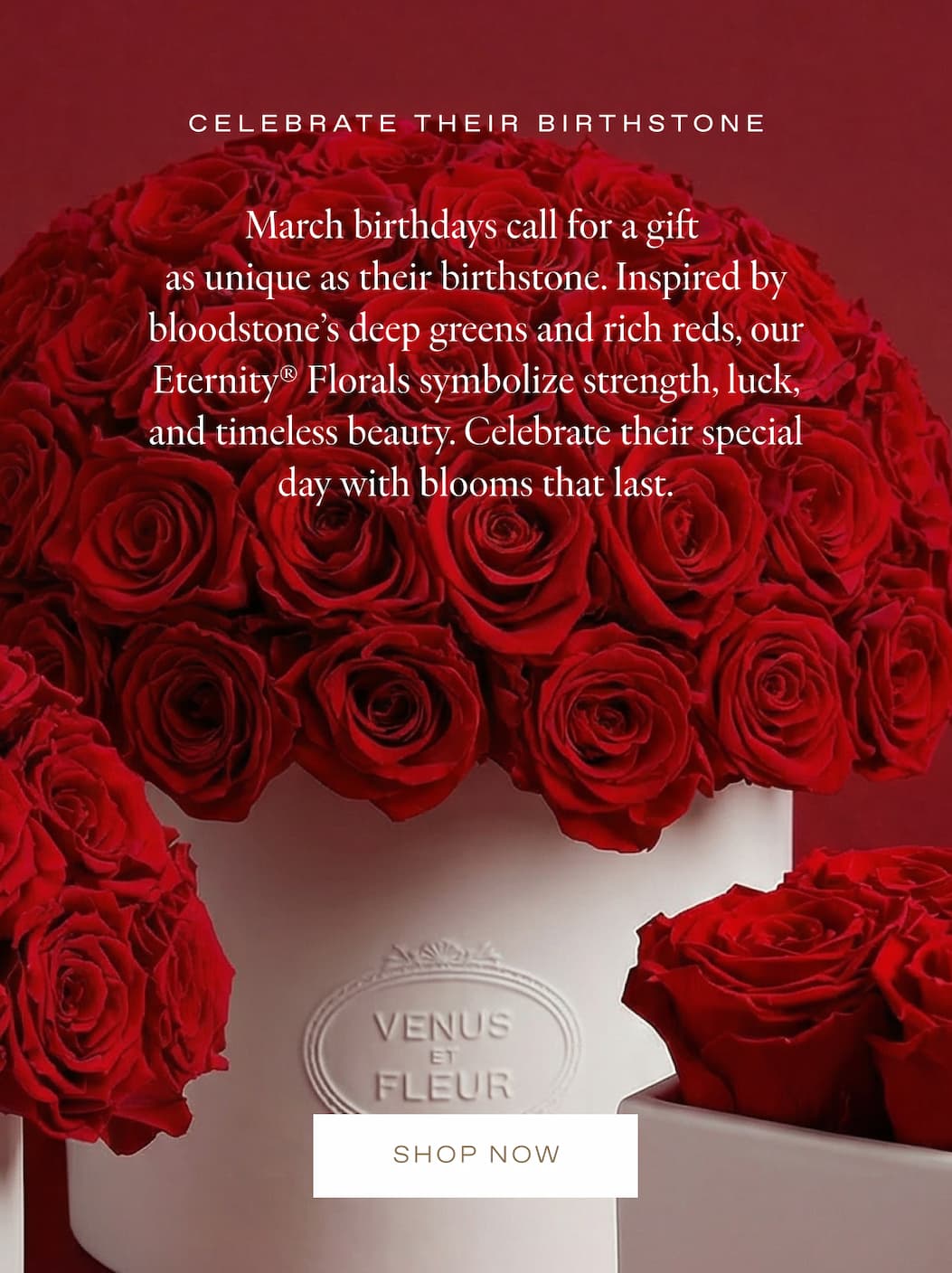 CELEBRATE THIER BIRTHSTONE