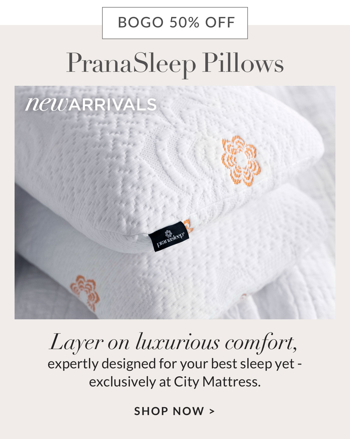 Shop PranaSleep Pillows
