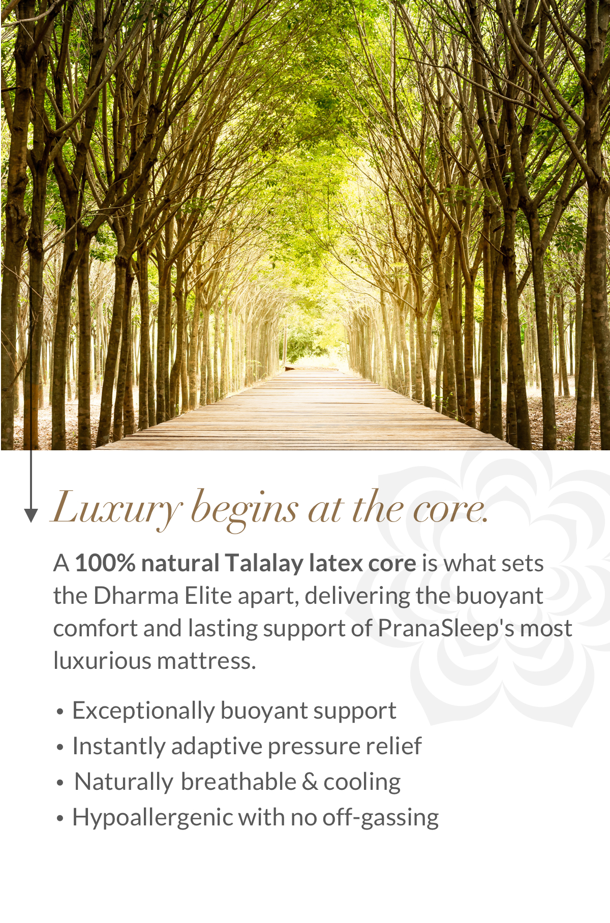 Luxury begins at the core. A 100% natural Talalay latex core is what sets the Dharma Elite apart, delivering the buoyant comfort and lasting support of PranaSleep's most luxurious mattress.