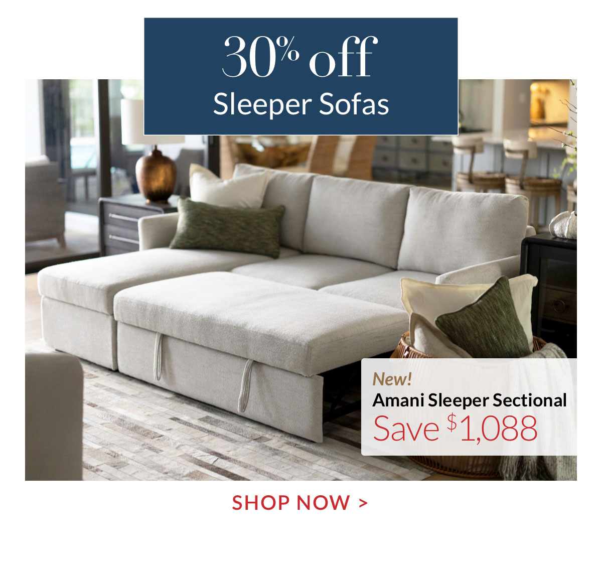 30% off Sleeper Sofas