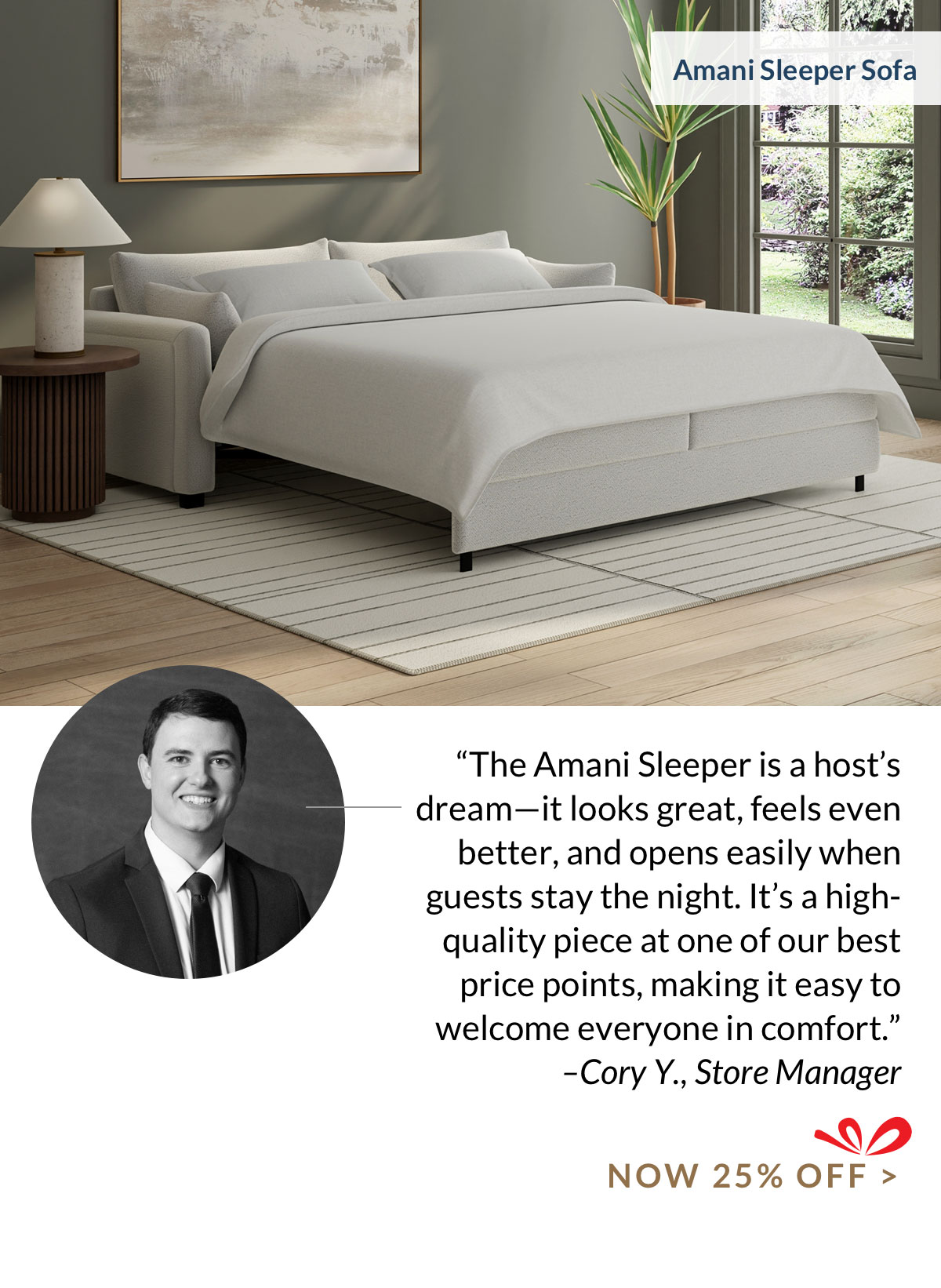 25% off Amani Sleeper Sofa