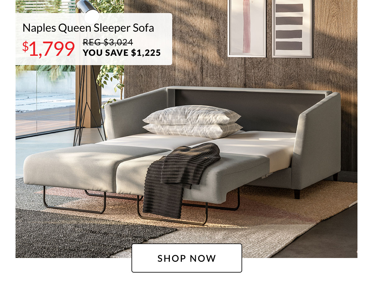 Naples Queen Sleeper Sofa - On Sale Now for $1,799