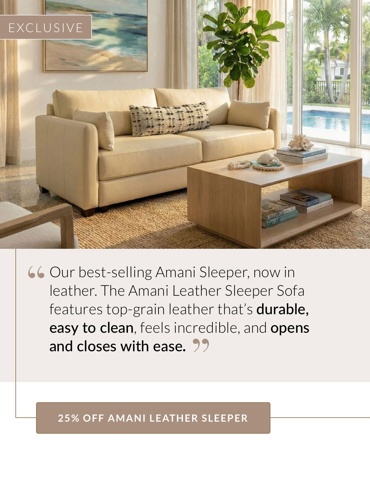 25% OFF AMANI LEATHER SLEEPER