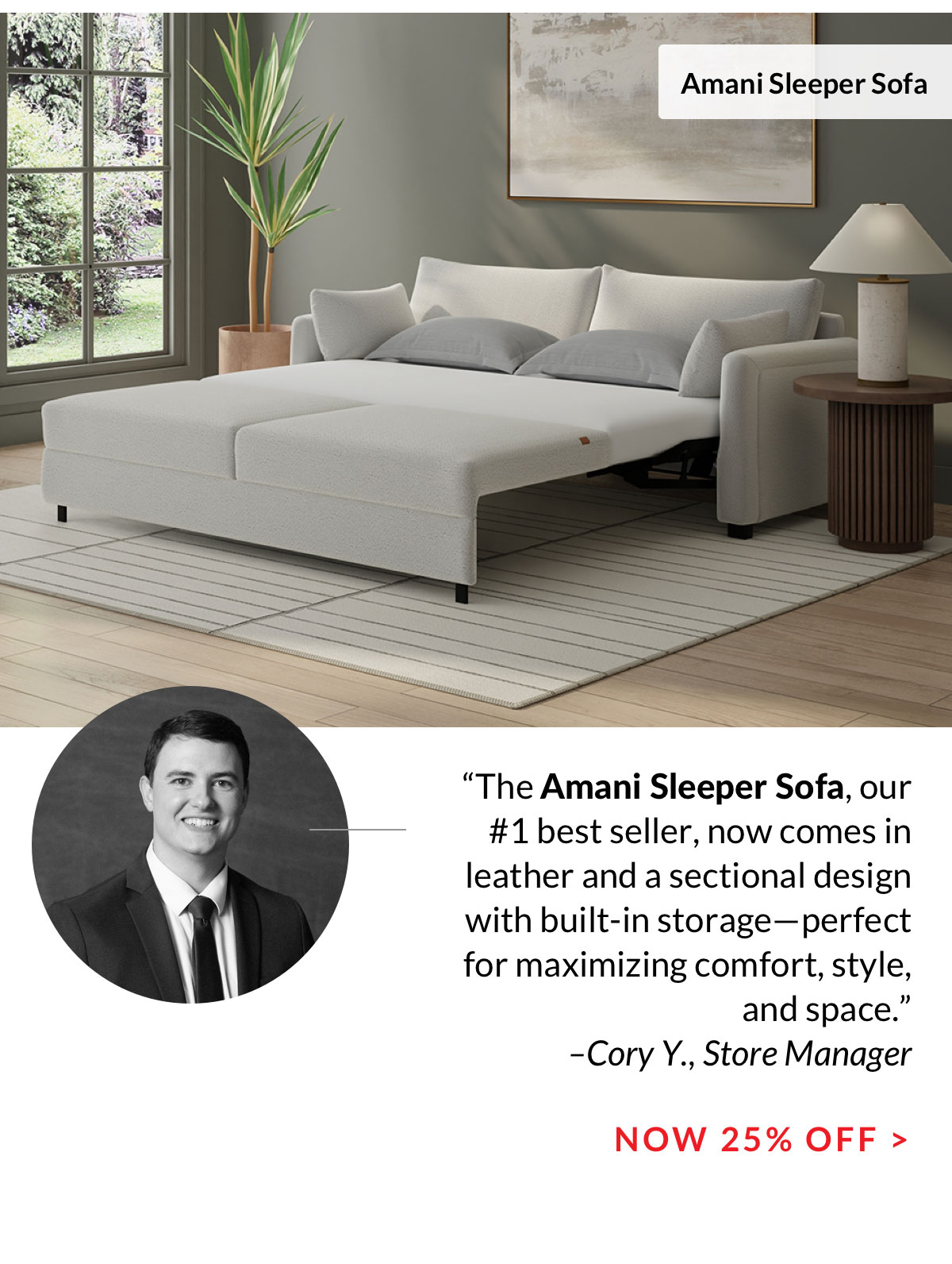 Amani Sleeper Sofas now 25% off