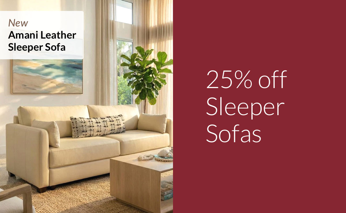 25% off Sleeper Sofas