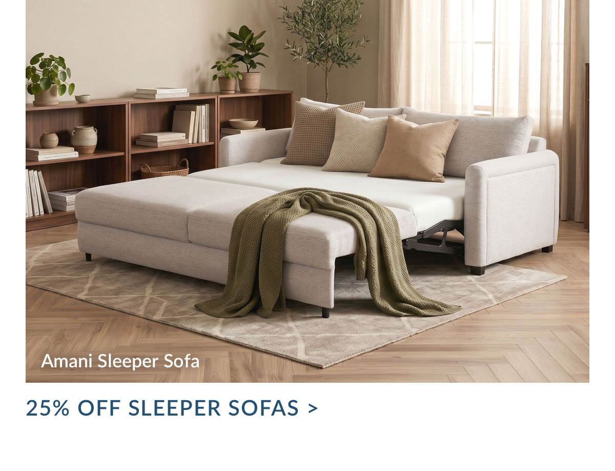 25% off Sleeper Sofas