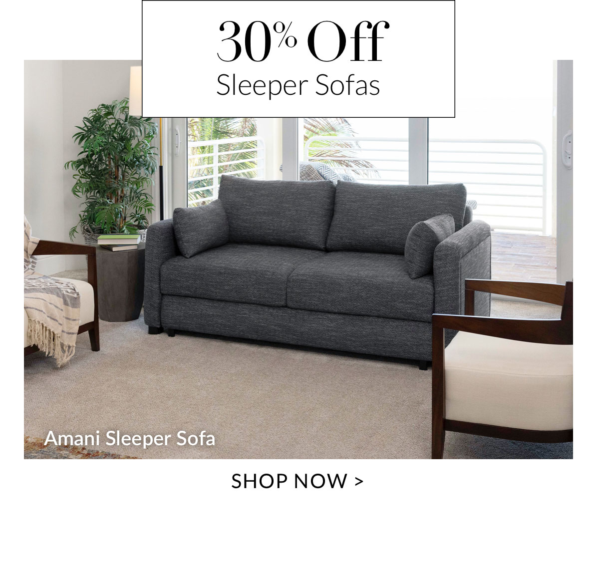 30% off Sleeper Sofas - Shop Now