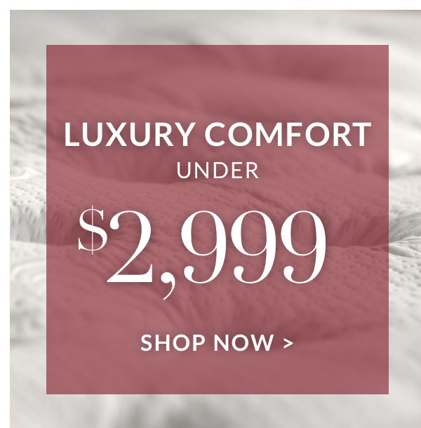 Luxury Comfort under $2,999