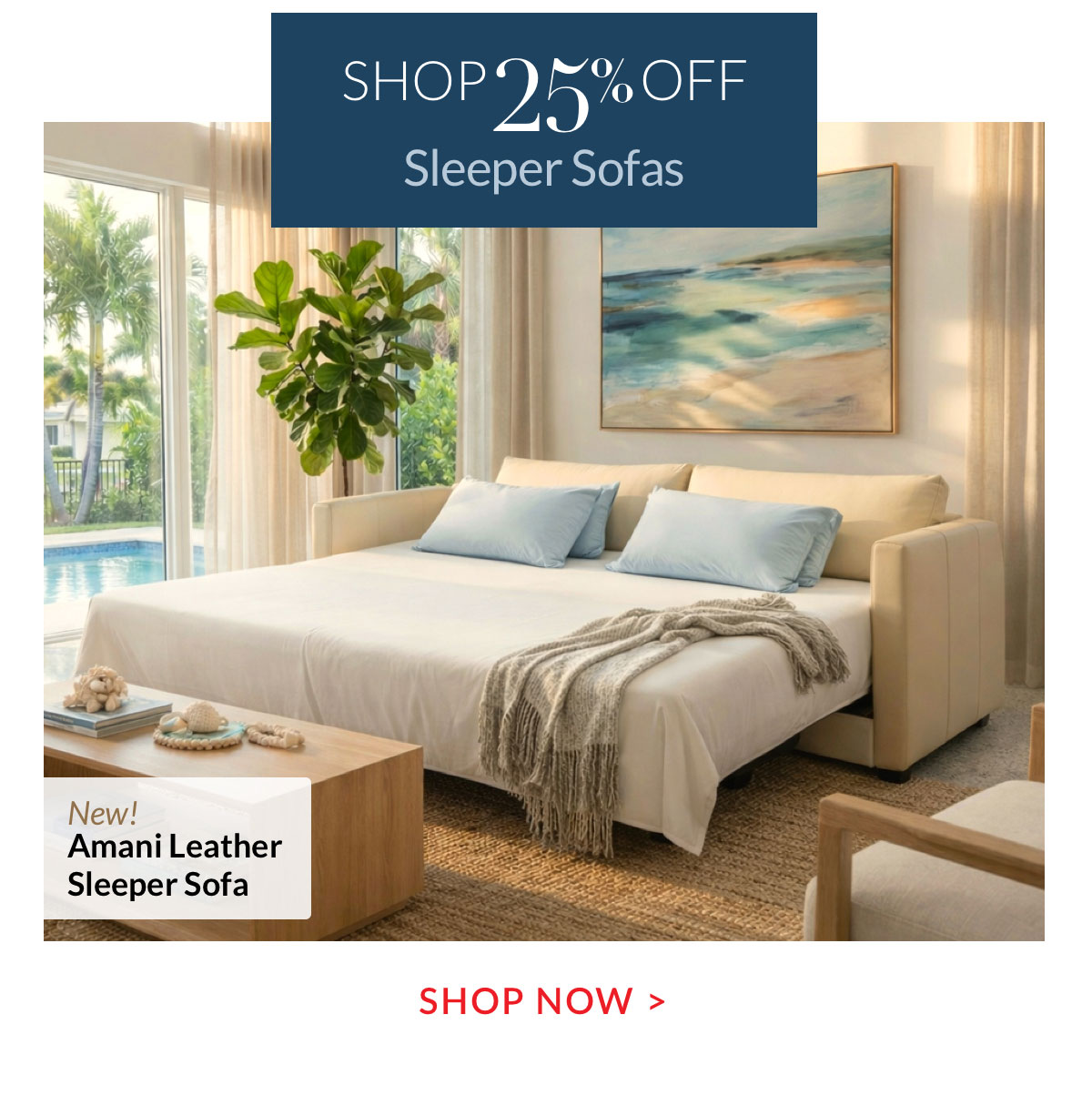25% OFF SLEEPER SOFAS