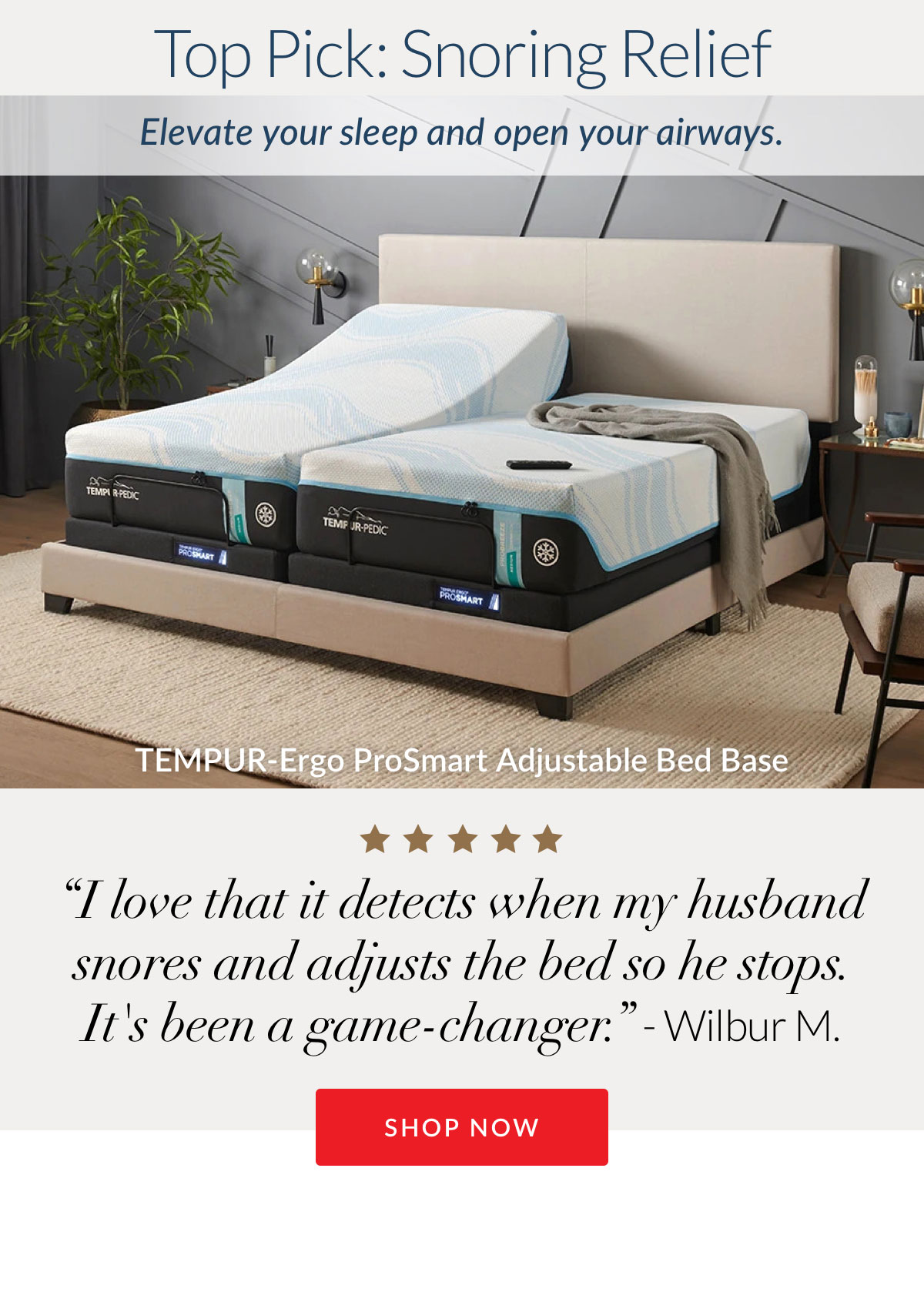 Top Pick: Snoring Relief - Shop TEMPUR-Ergo ProSmart Adjustable Bed Base