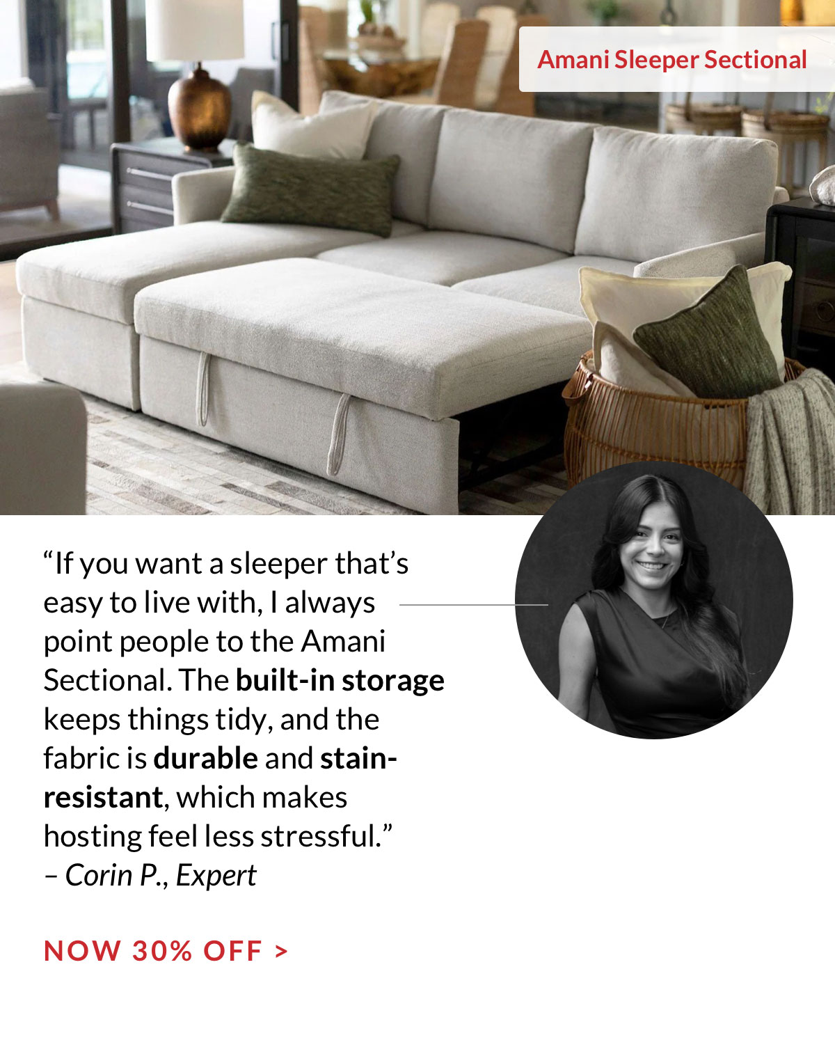Amani Sleeper Sectional - Now 30% off