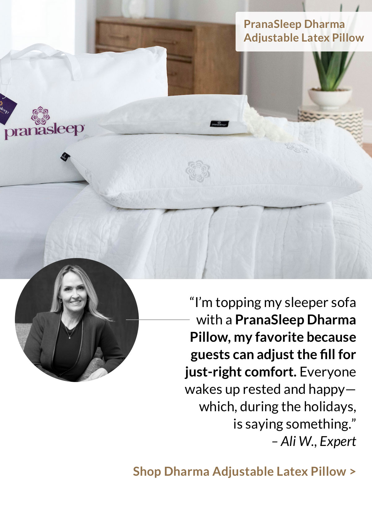 Shop Dharma Adjustable Latex Pillow Shop Dharma Adjustable Latex Pillow