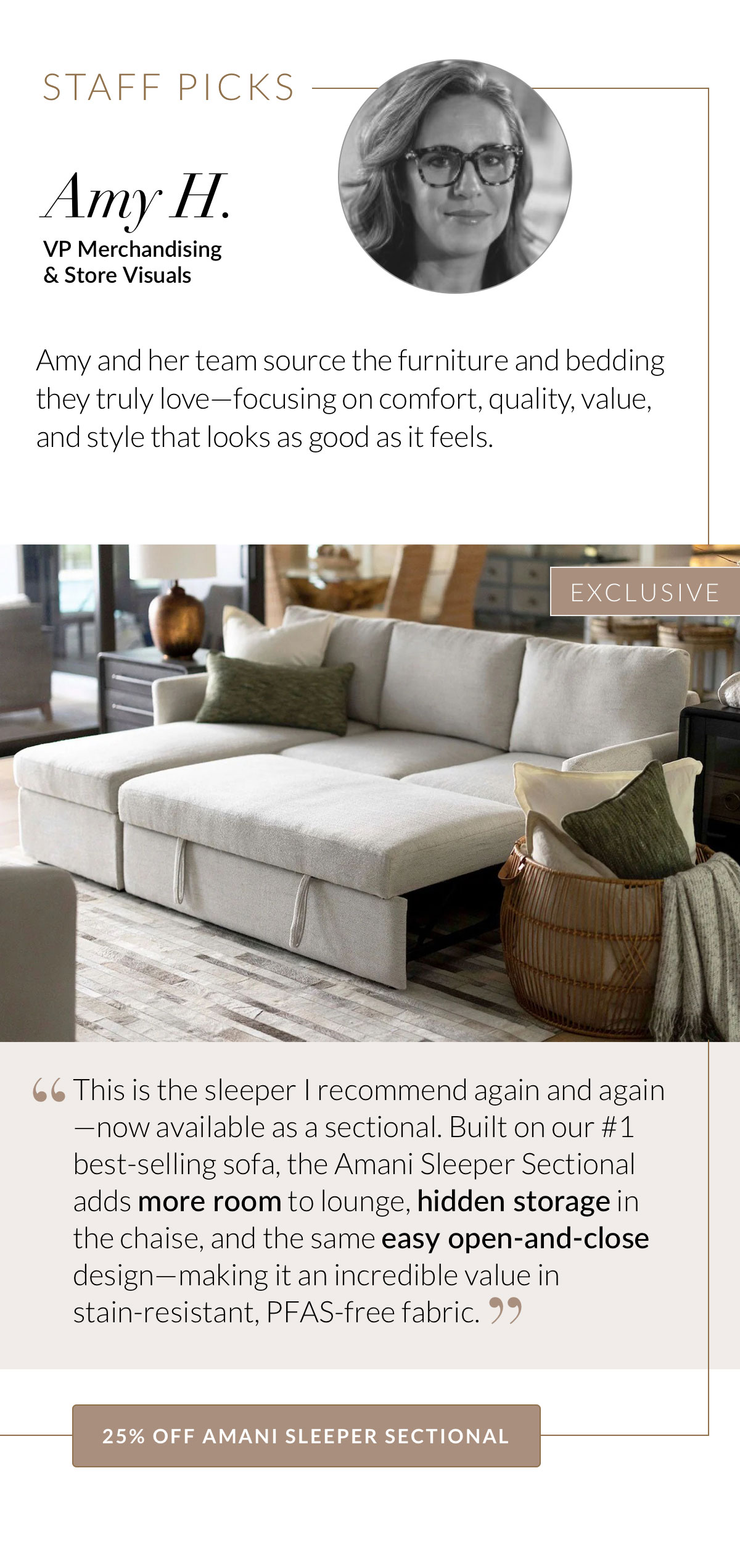 25% OFF AMANI SLEEPER SECTIONAL