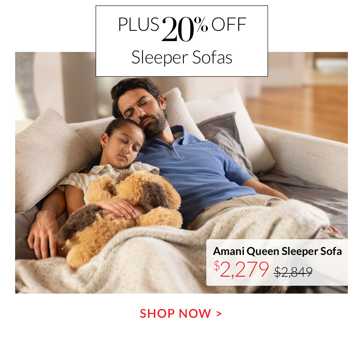 Plus 20% off Sleeper Sofas - Shop Now Plus 20% off Sleeper Sofas - Shop Now