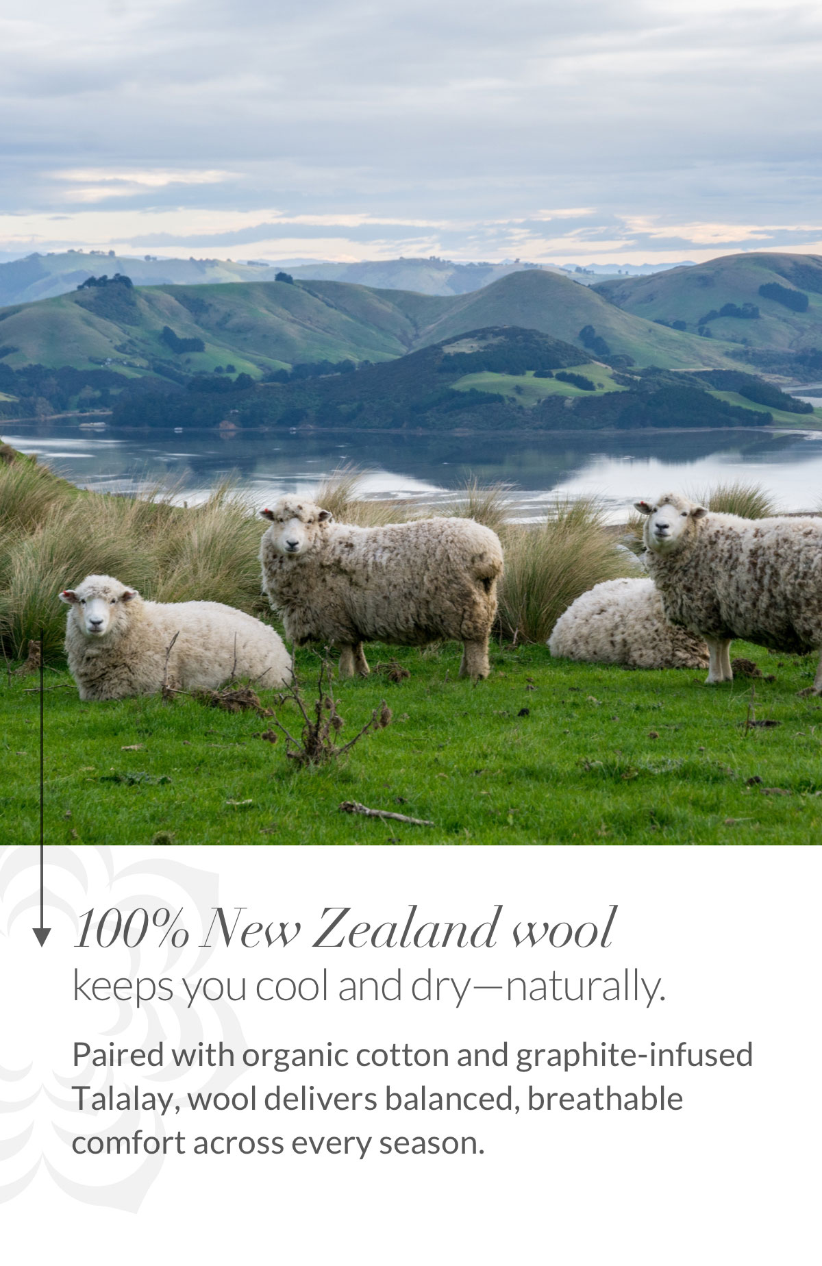 100% New Zealand wool 