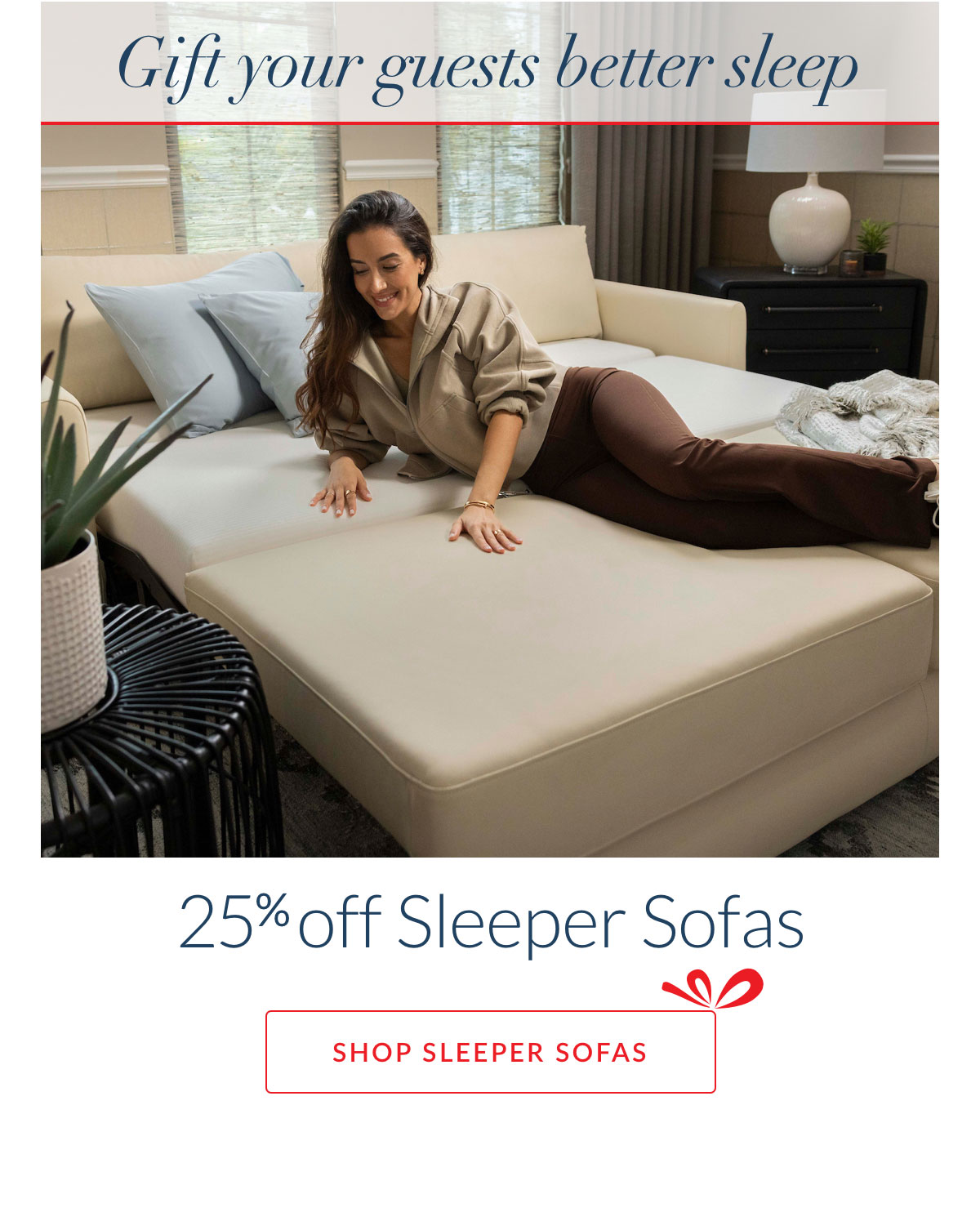 25% off Sleeper Sofas