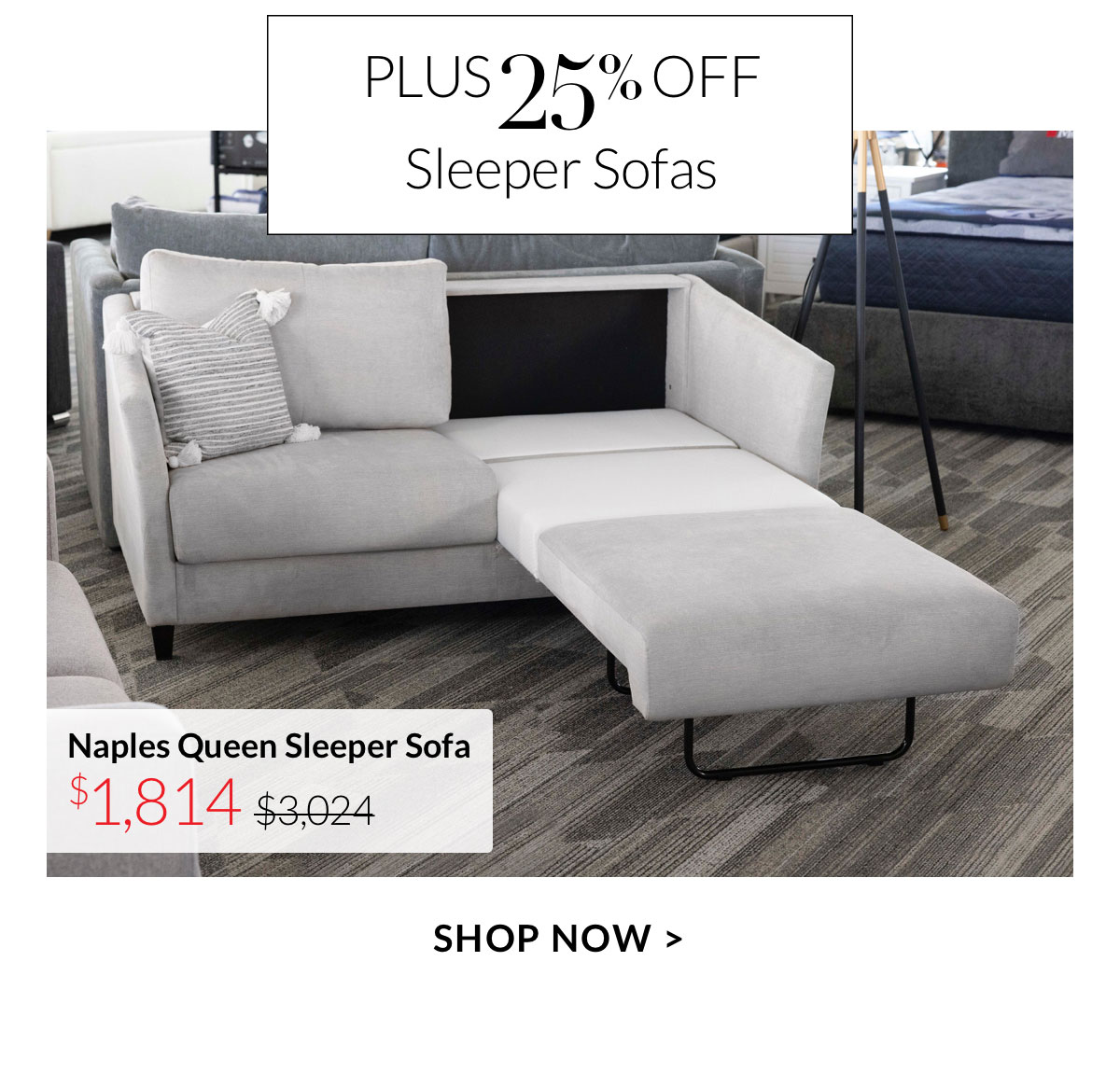 Shop Sleeper Sofas