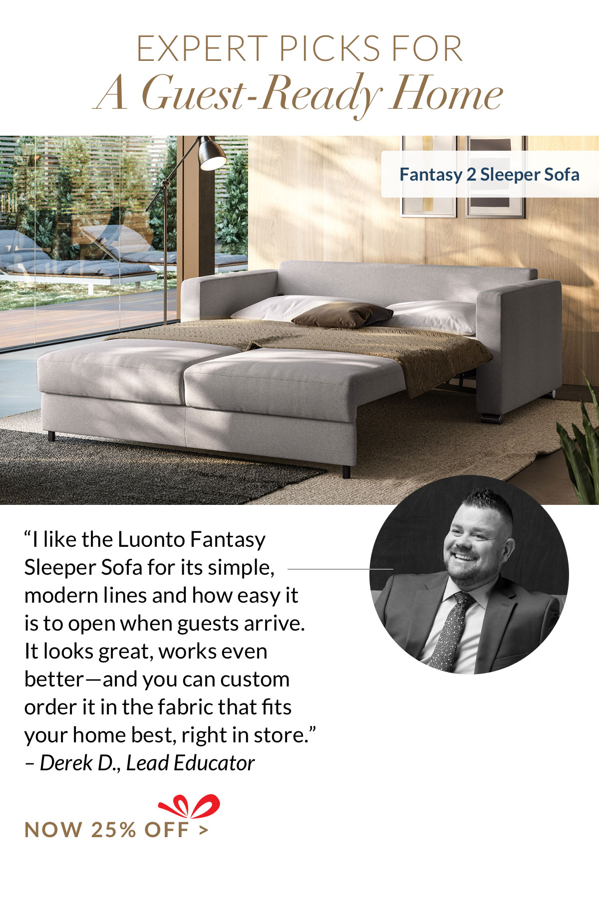 25% off Fantasy 2 Sleeper Sofa
