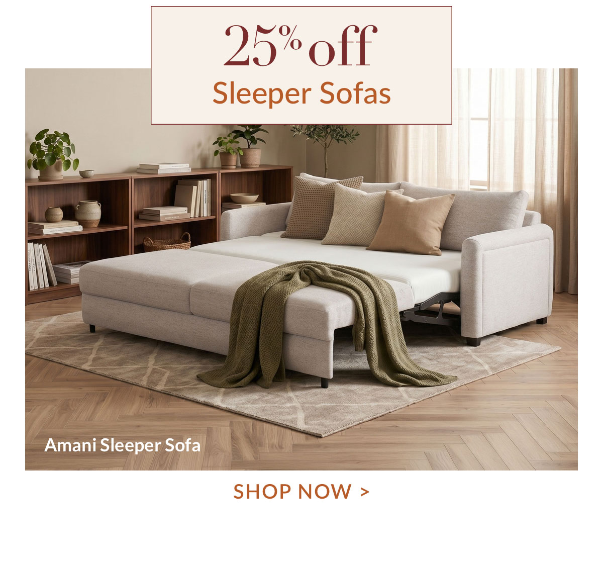 25% off Sleeper Sofas