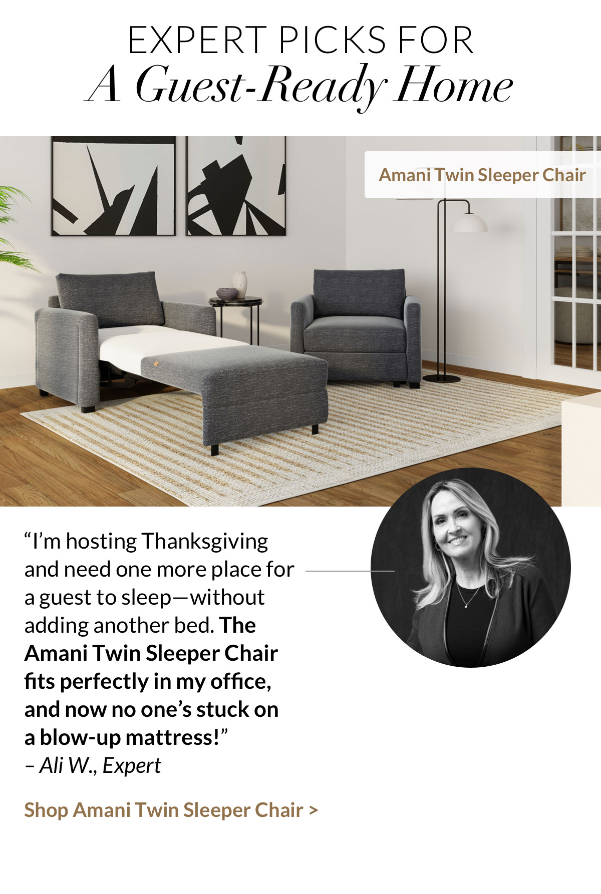 Shop Amani Twin Sleeper Chair Shop Amani Twin Sleeper Chair