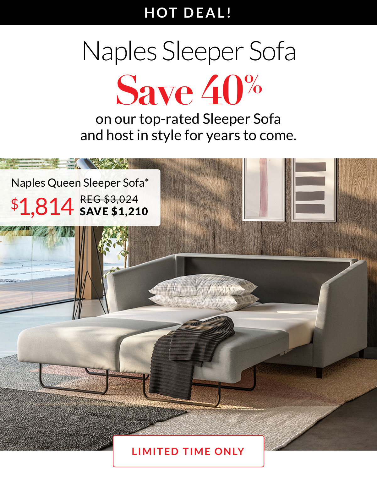 Hot Deal! Save 40% on the Naples Sleeper Sofa