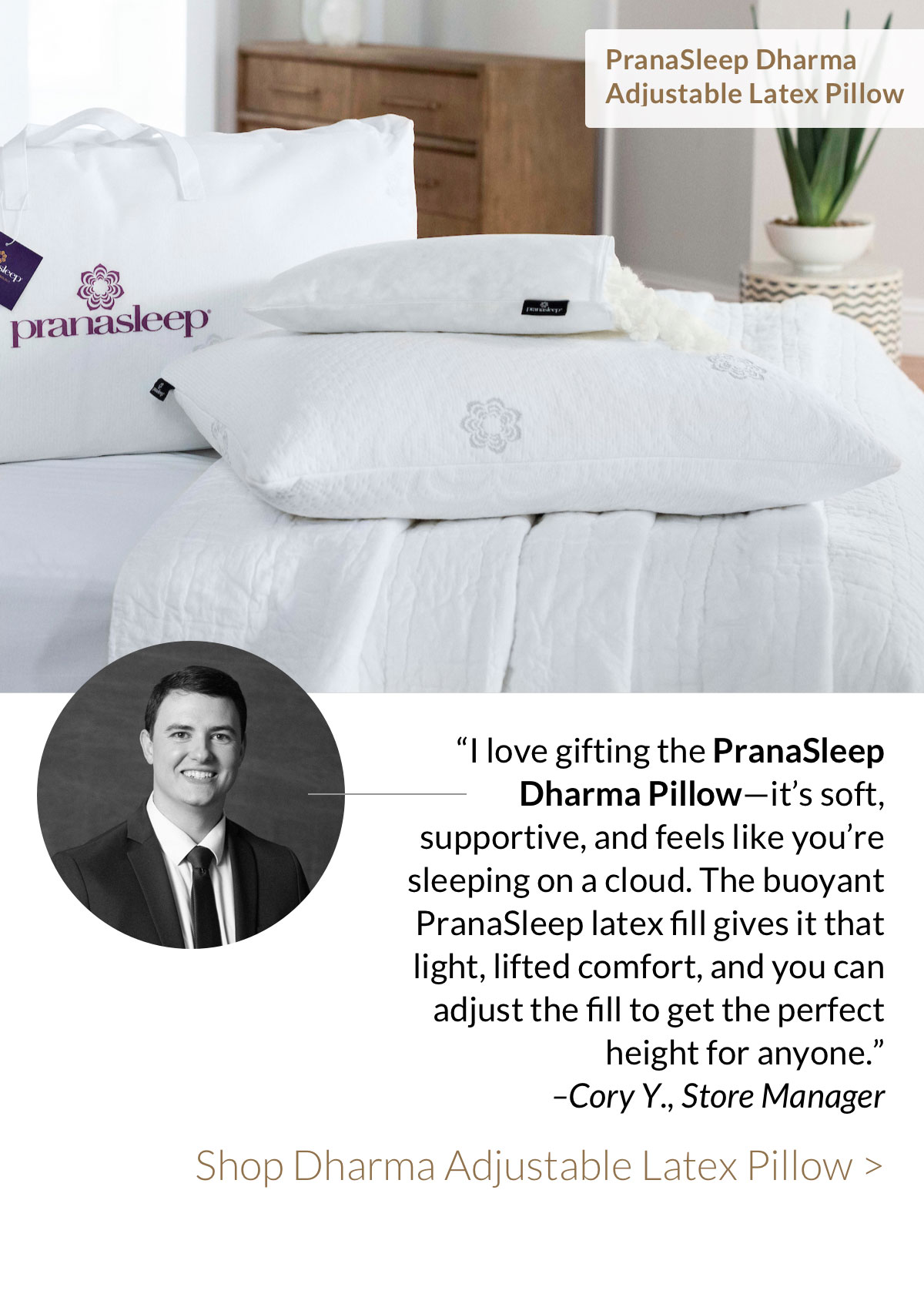 Shop Dharma Adjustable Latex Pillow