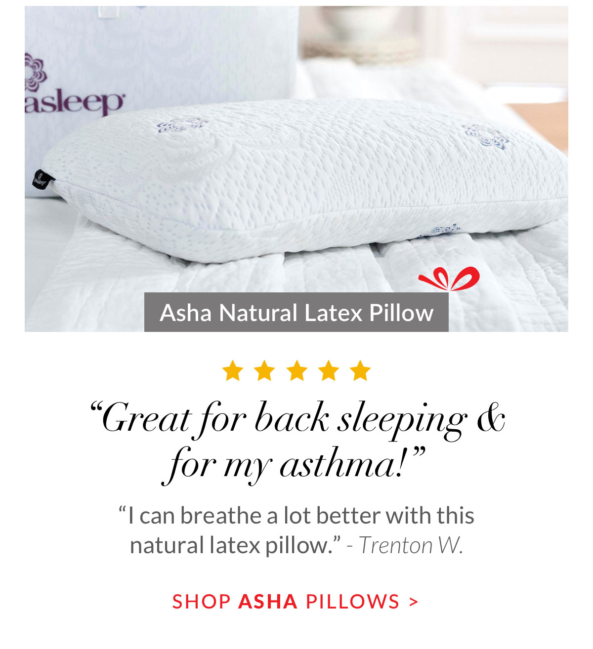 Shop Asha Natural Latex Pillow