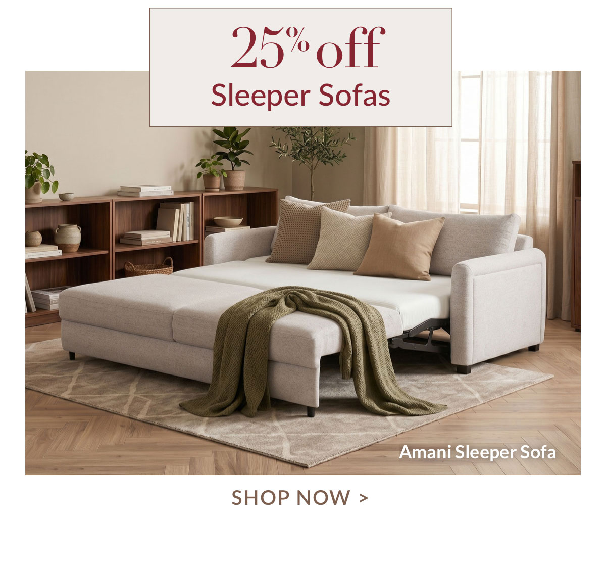 25% off Sleeper Sofas - Shop Now