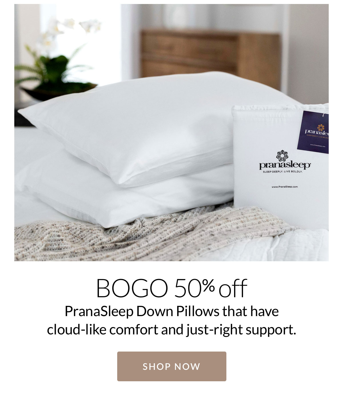 BOGO 50% off PranaSleep Down Pillows