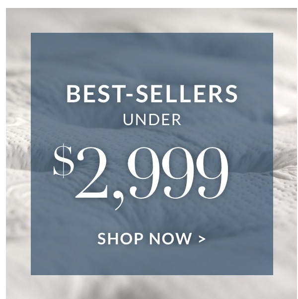 Best-Sellers Under $2,999