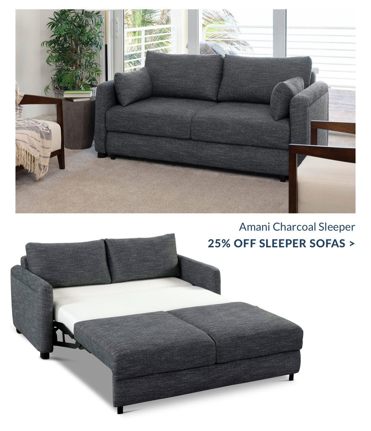 25% off Sleeper Sofas